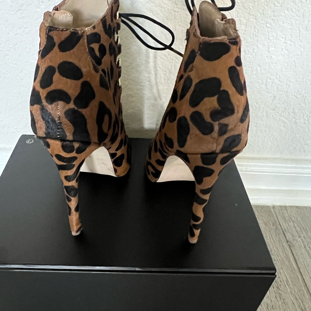 Leopard - Picture 4 of 6